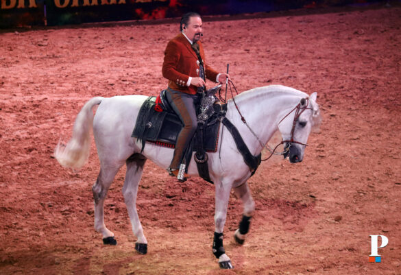 PEPE AGUILAR 29