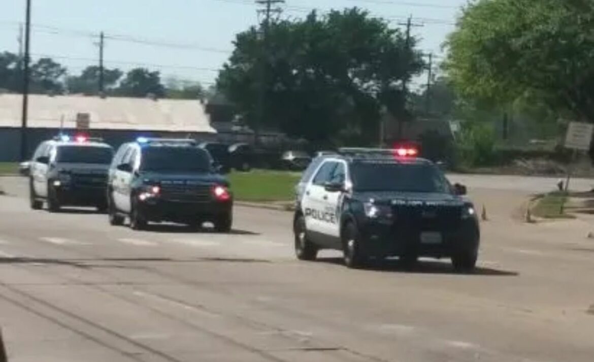 Diseño sin título (11)