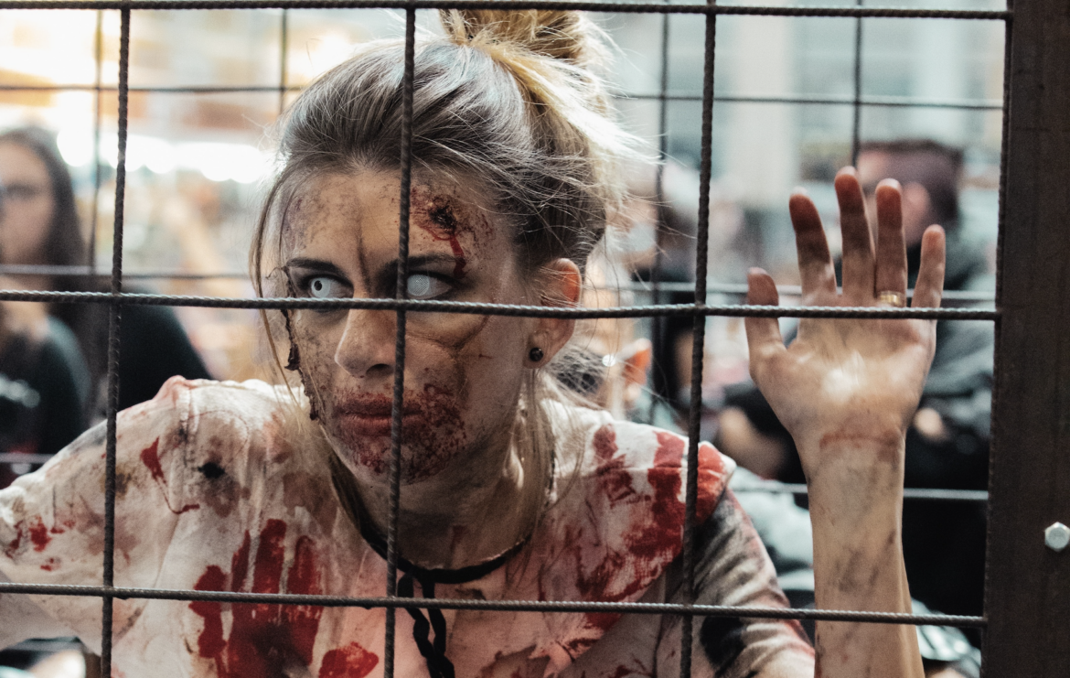 HOUSTON ZOMBIS