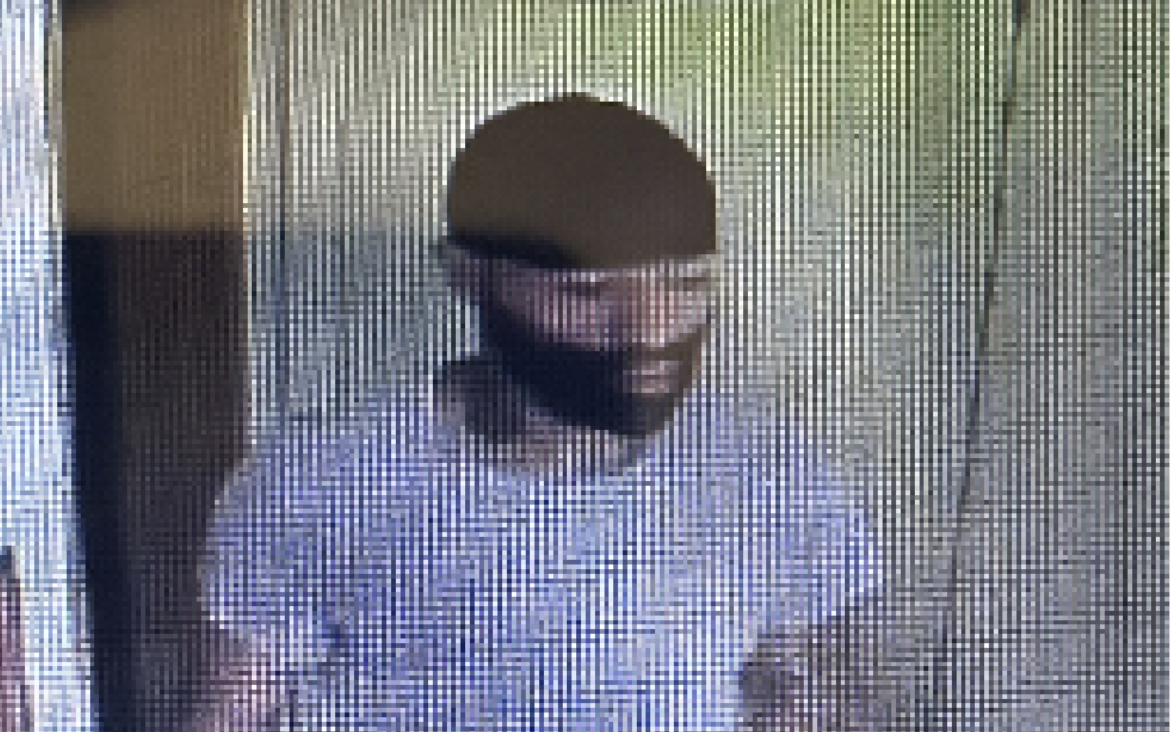 Vincent Guerino Juliano