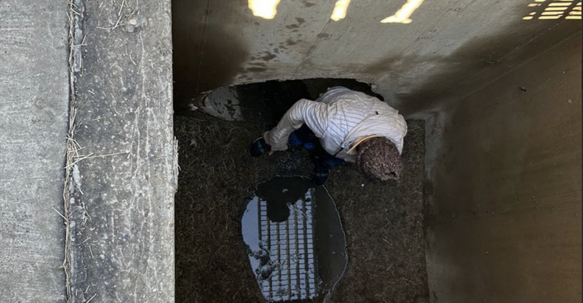 INMIGRANTES EN EL DESAGUE