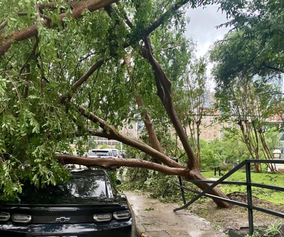 TORMENTA EN HOUSTON 5 16 20243