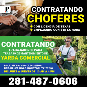 13746_web_chofer yarda (1)