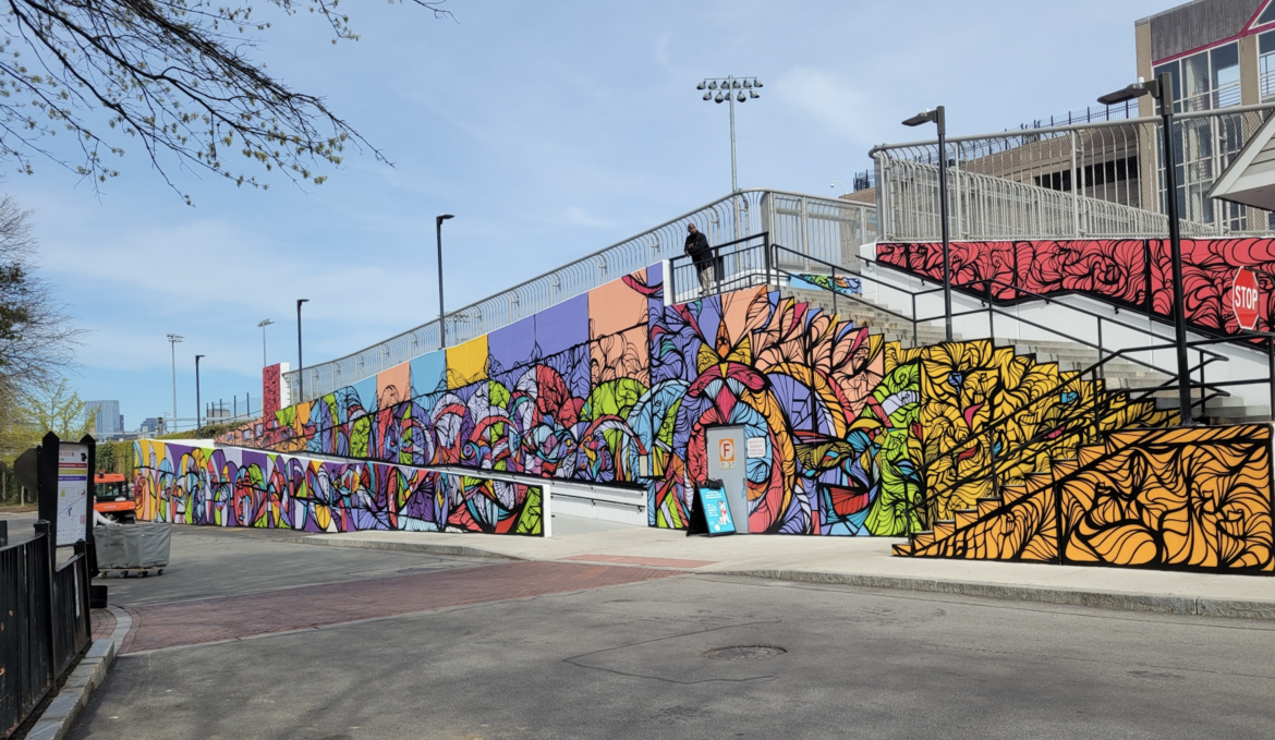 HOUSTON MURALS