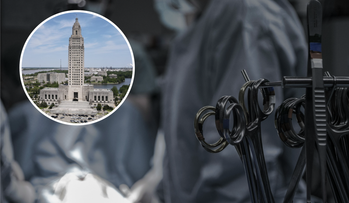 LUISIANA CASTRATION 2024