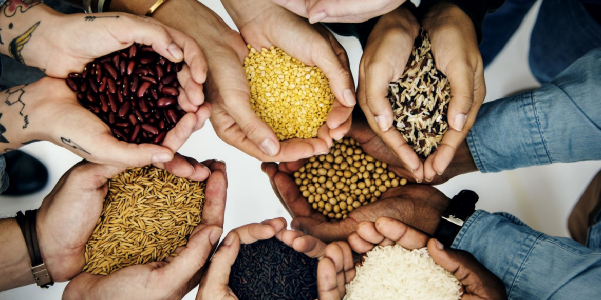 Seguridad alimentaria FAO