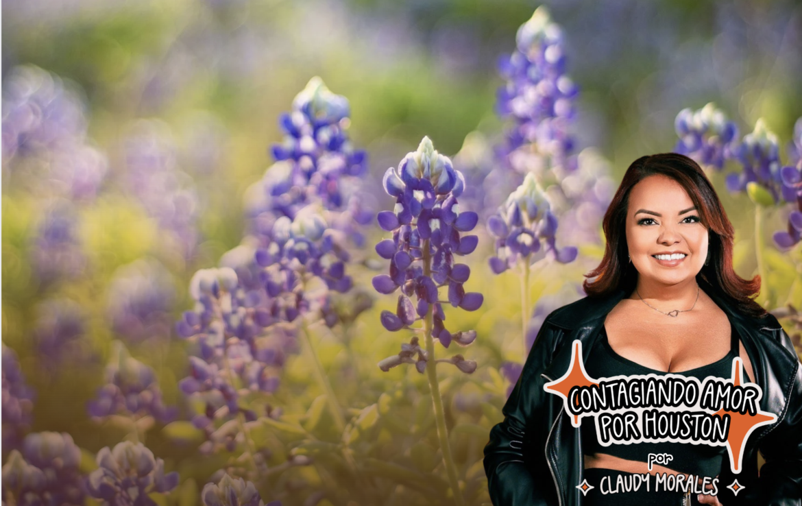 Bluebonnets en Houston: mejores lugares para verlos (2025)