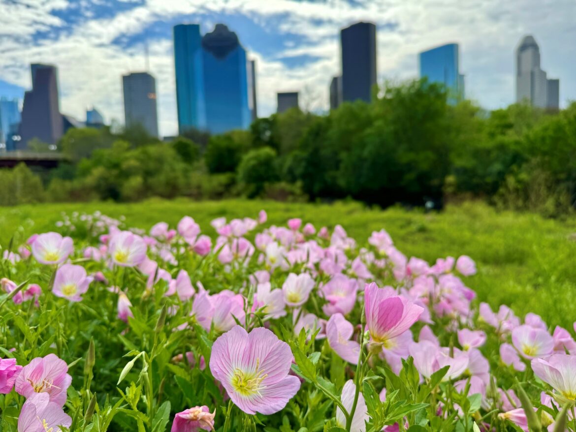 Buffalo Bayou Partnership1 primavera en houston