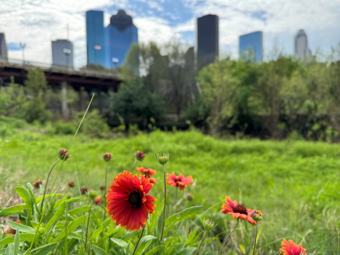 Buffalo Bayou Partnership2 primavera en houston