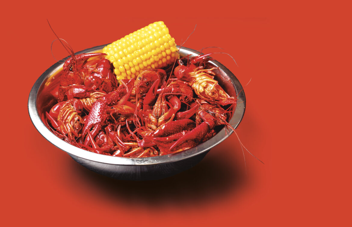 CRAWFISH Receta de crawfish: cómo prepararla en casa paso a paso 2025