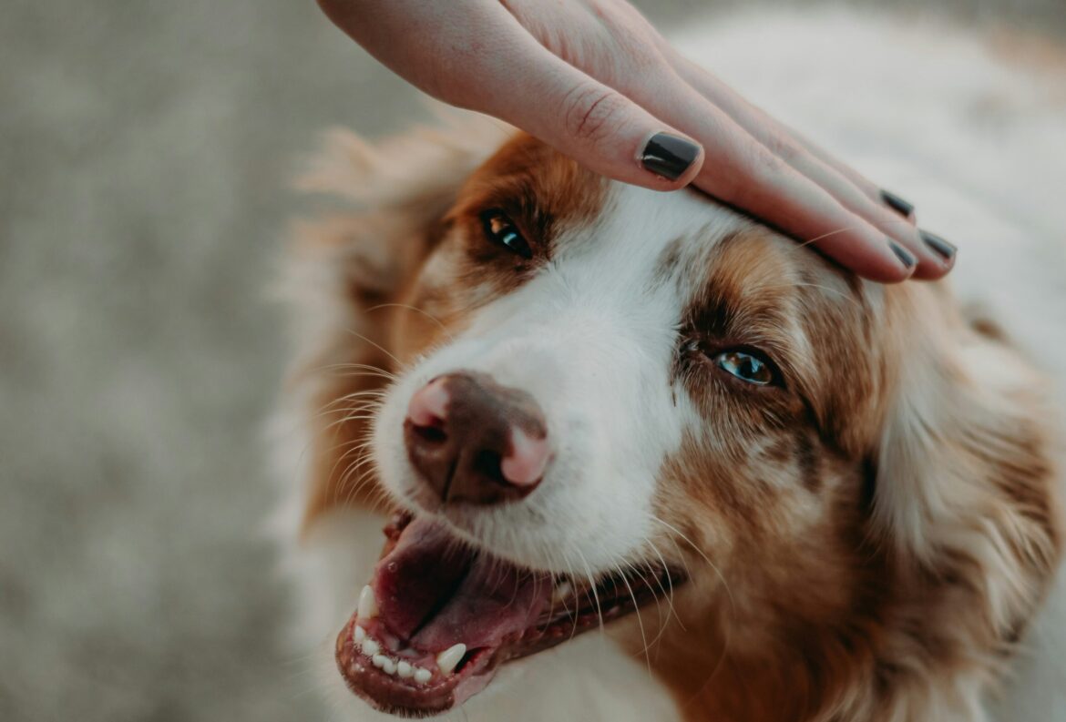 bailey-burton-UbUOVEP6DQc-unsplash