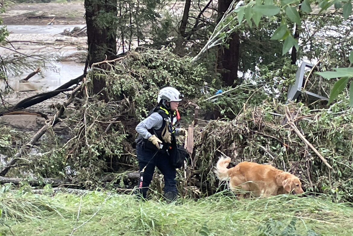 INUNDACION Reciben perros rescatados en Houston tras inundaciones 2025