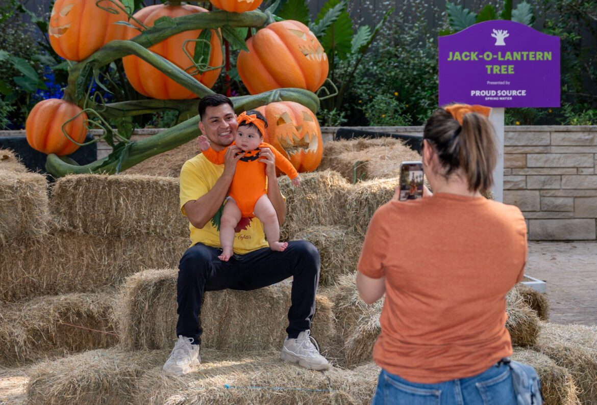 Celebra Halloween de una manera espeluznante en Zoo Boo