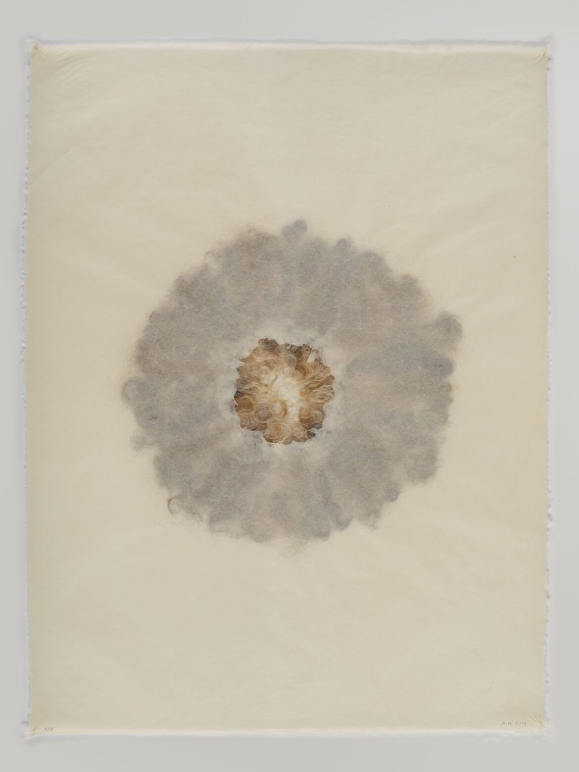 FOTO 3 Ann Hamilton, in collaboration with Dieu Donné, poche, 2014